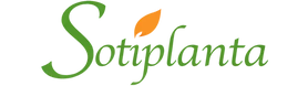 Patrocínio Sotiplanta